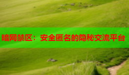 暗网禁区：安全匿名的隐秘交流平台