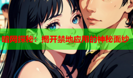 暗网探秘：揭开禁地应用的神秘面纱