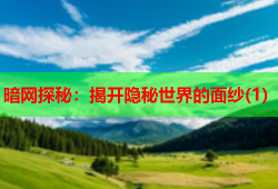 暗网探秘：揭开隐秘世界的面纱(1)