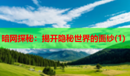 暗网探秘：揭开隐秘世界的面纱(1)