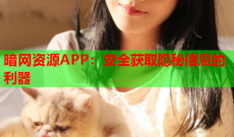 暗网资源APP：安全获取隐秘信息的利器