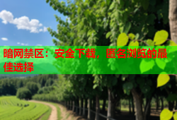 暗网禁区：安全下载，匿名浏览的最佳选择