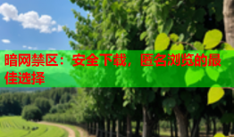暗网禁区：安全下载，匿名浏览的最佳选择