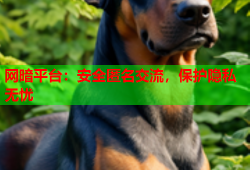 网暗平台：安全匿名交流，保护隐私无忧