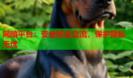 网暗平台：安全匿名交流，保护隐私无忧
