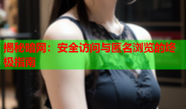 揭秘暗网：安全访问与匿名浏览的终极指南