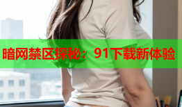 暗网禁区探秘：91下载新体验