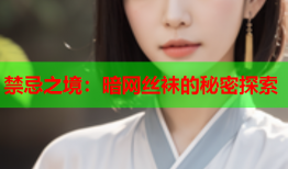 禁忌之境：暗网丝袜的秘密探索