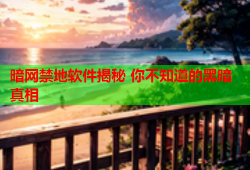 暗网禁地软件揭秘 你不知道的黑暗真相