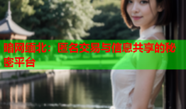 暗网缅北：匿名交易与信息共享的秘密平台