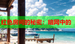 红色房间的秘密：暗网中的