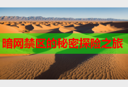 暗网禁区的秘密探险之旅