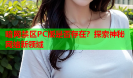暗网禁区PC版是否存在？探索神秘网络新领域