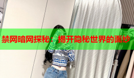 禁网暗网探秘：揭开隐秘世界的面纱