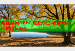 暗区禁网APP：轻松掌控网络权限，保护隐私安全
