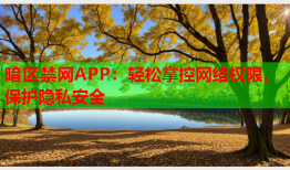 暗区禁网APP：轻松掌控网络权限，保护隐私安全