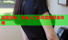 暗网探秘：安全入门与风险防范全攻略