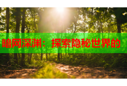 暗网深渊：探索隐秘世界的