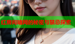 红房间暗网的秘密与禁忌探索