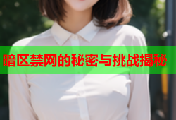 暗区禁网的秘密与挑战揭秘