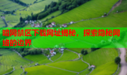 暗网禁区下载网址揭秘，探索隐秘网络的边界