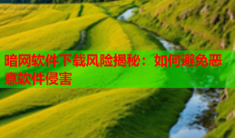 暗网软件下载风险揭秘：如何避免恶意软件侵害
