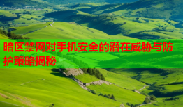 暗区禁网对手机安全的潜在威胁与防护策略揭秘
