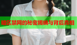 暗区禁网的秘密揭晓与背后真相