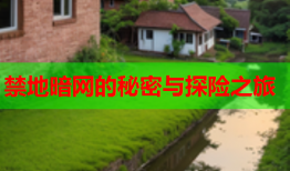 禁地暗网的秘密与探险之旅