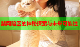 禁网暗区的神秘探索与未来可能性