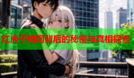 红房子暗网背后的秘密与真相探索