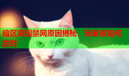 暗区突围禁网原因揭秘，玩家该如何应对