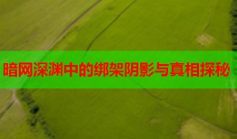 暗网深渊中的绑架阴影与真相探秘