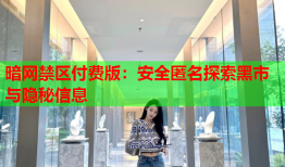 暗网禁区付费版：安全匿名探索黑市与隐秘信息