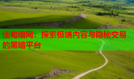 缅甸暗网：探索极端内容与隐秘交易的黑暗平台