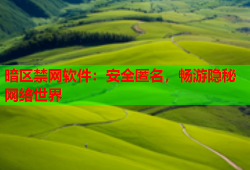 暗区禁网软件：安全匿名，畅游隐秘网络世界