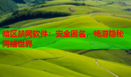 暗区禁网软件：安全匿名，畅游隐秘网络世界