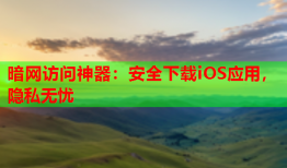 暗网访问神器：安全下载iOS应用，隐私无忧