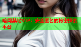 暗网禁地VIP：安全匿名的秘密探索平台
