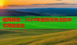 暗网探索：2024年最值得关注的中文网站合集