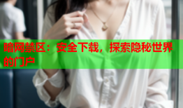暗网禁区：安全下载，探索隐秘世界的门户