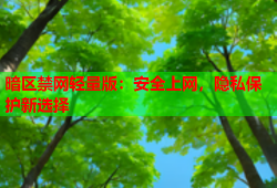 暗区禁网轻量版：安全上网，隐私保护新选择
