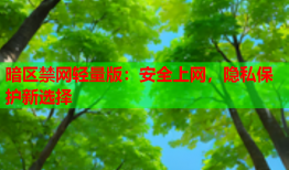 暗区禁网轻量版：安全上网，隐私保护新选择