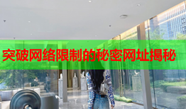 突破网络限制的秘密网址揭秘
