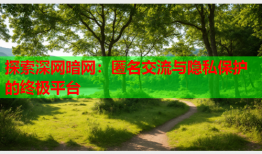 探索深网暗网：匿名交流与隐私保护的终极平台