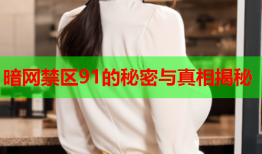 暗网禁区91的秘密与真相揭秘