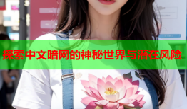 探索中文暗网的神秘世界与潜在风险