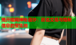 揭开暗网神秘面纱：匿名交易与隐秘信息的聚集地