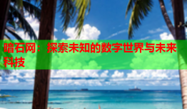 暗石网：探索未知的数字世界与未来科技