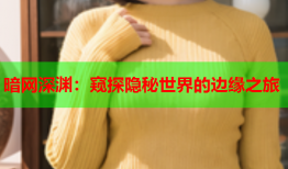 暗网深渊：窥探隐秘世界的边缘之旅
